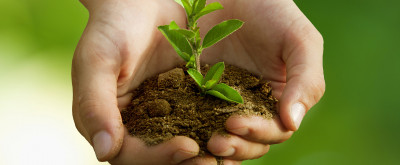 Movement of seeds and plants